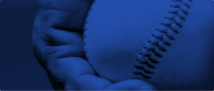 Pro Baseball